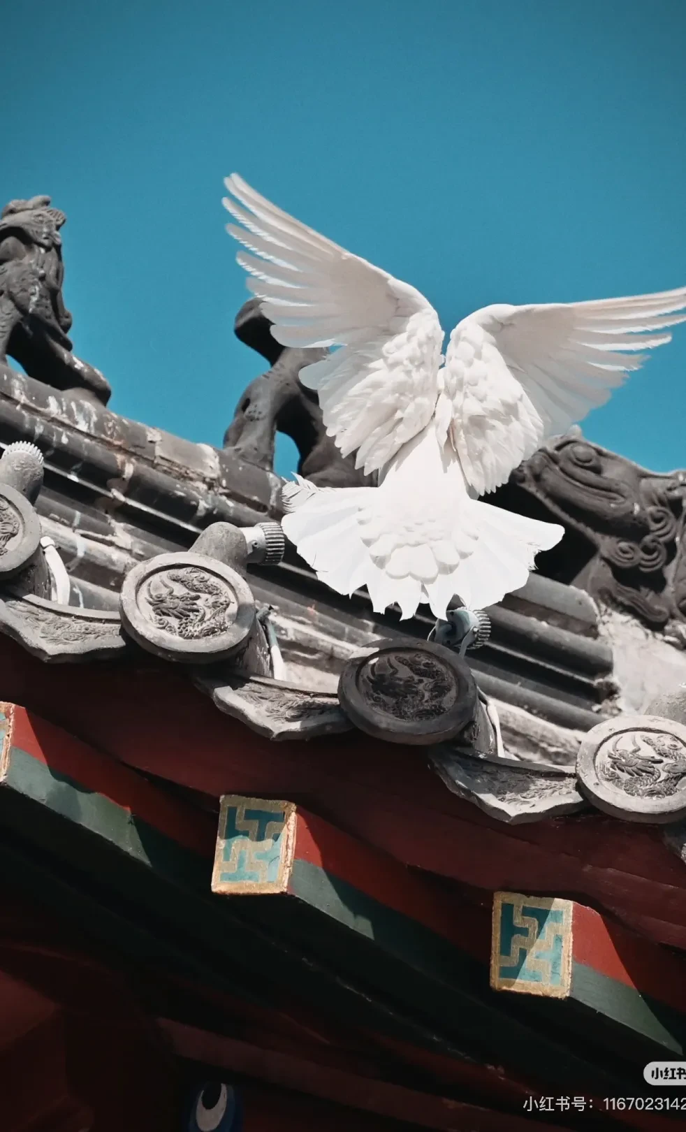 9dda905e5378e35238be3aa087a4a703-sz_553170 9dda905e5378e35238be3aa087a4a703-sz_553170