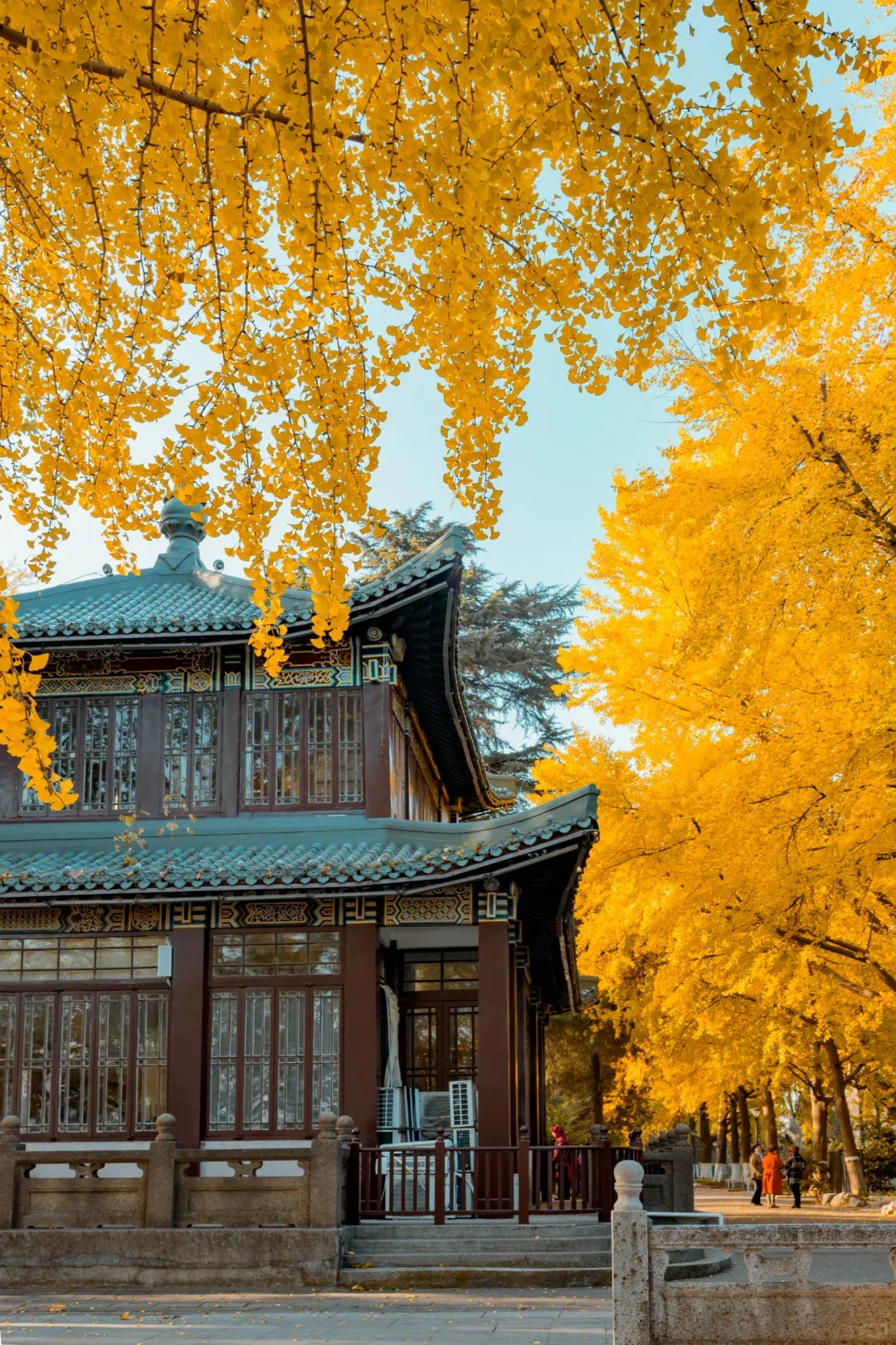 9de153ff60bdc675dd8b581564aaeb93-sz_3061715 9de153ff60bdc675dd8b581564aaeb93-sz_3061715