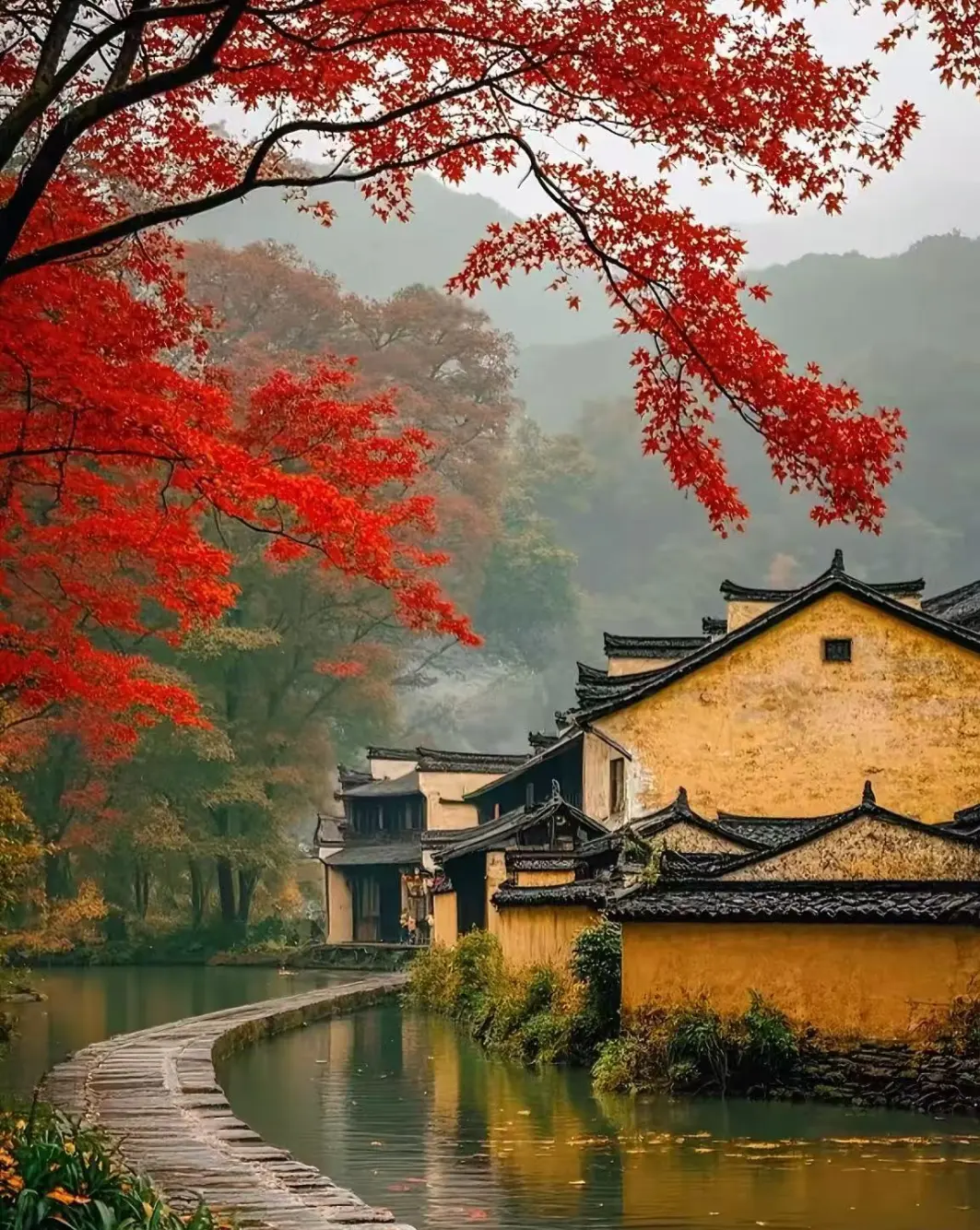 9e6c934b9fef4bae2d8508a545db296a-sz_382004