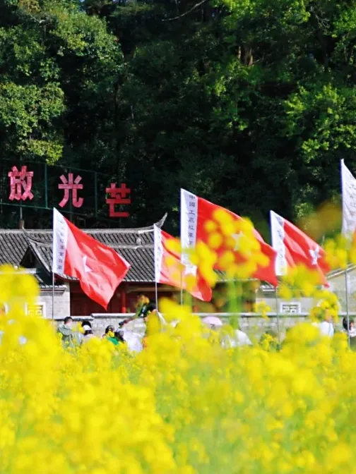 9e6fa3500b9423cf3858434c955bb80a-sz_284515 9e6fa3500b9423cf3858434c955bb80a-sz_284515