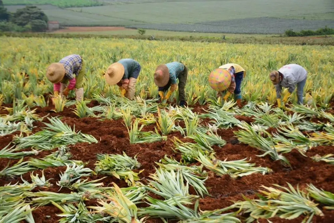 9e8cd52890a74bbaf5ec5e5057c14204-sz_181720 9e8cd52890a74bbaf5ec5e5057c14204-sz_181720