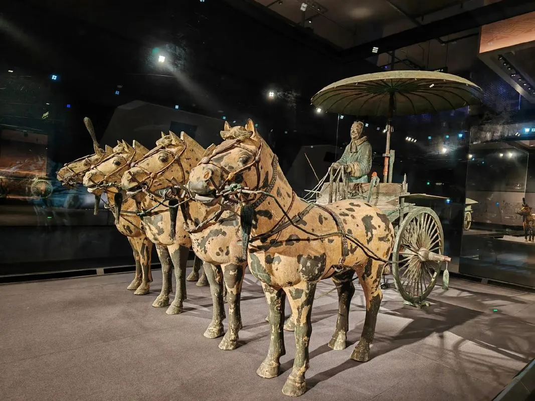 9e93e9fd2c724b689e41f5143a38ce08-sz_1241898