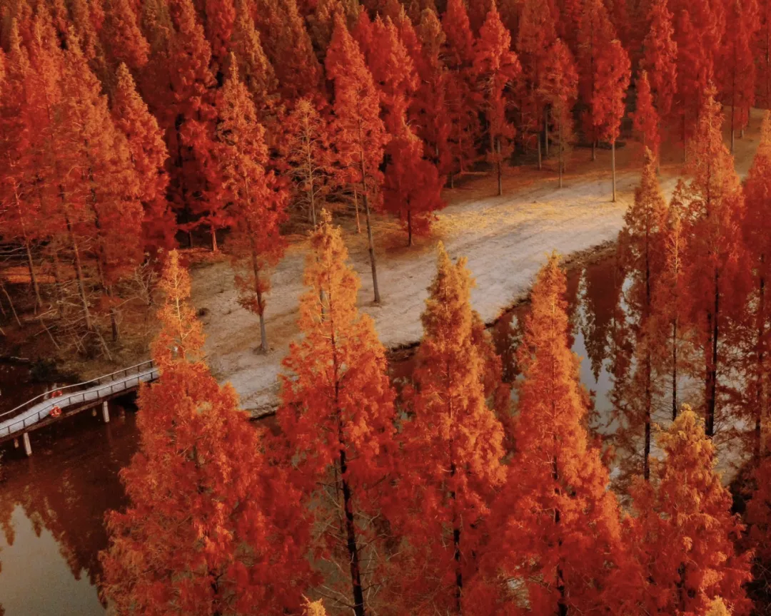 9ea100e320d6785a383d3303d97d48d7-sz_2431663-3