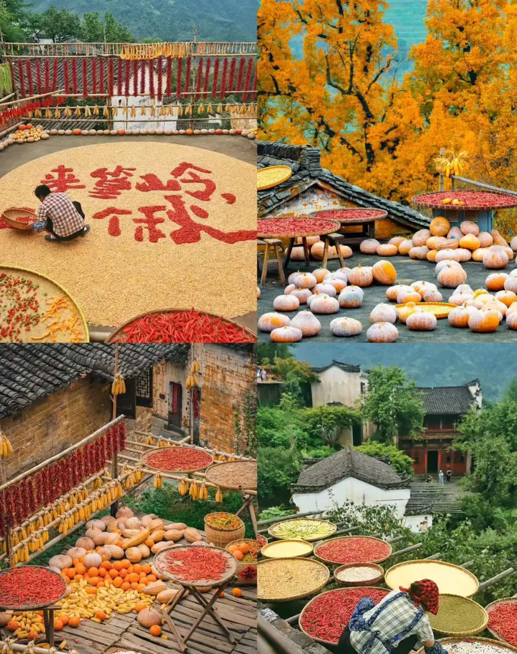 9ed734bba9ebea0300a10310ec8a74d0-sz_550154