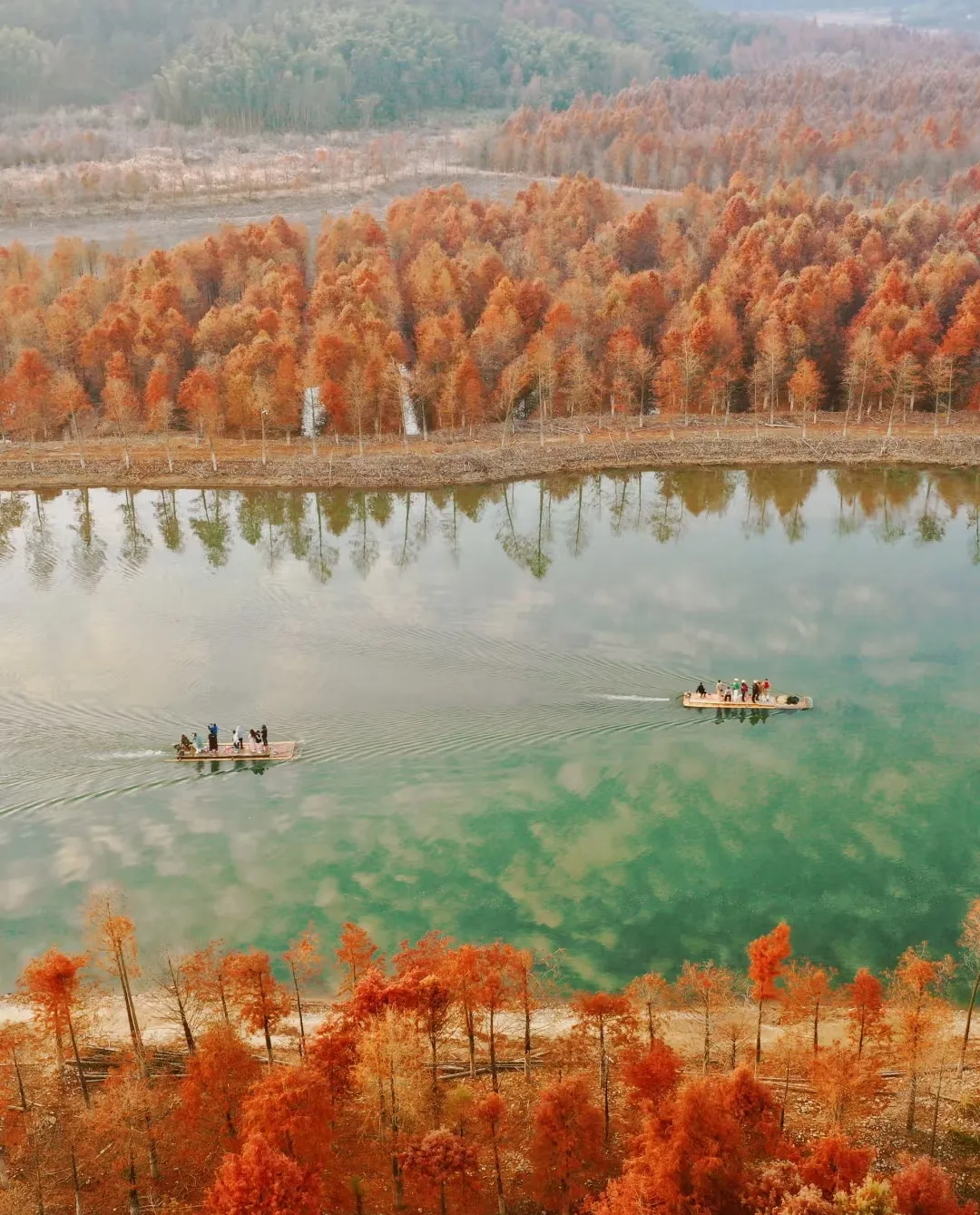 9f501ce274939d4ed9dcf2ea2351fb51-sz_1073979