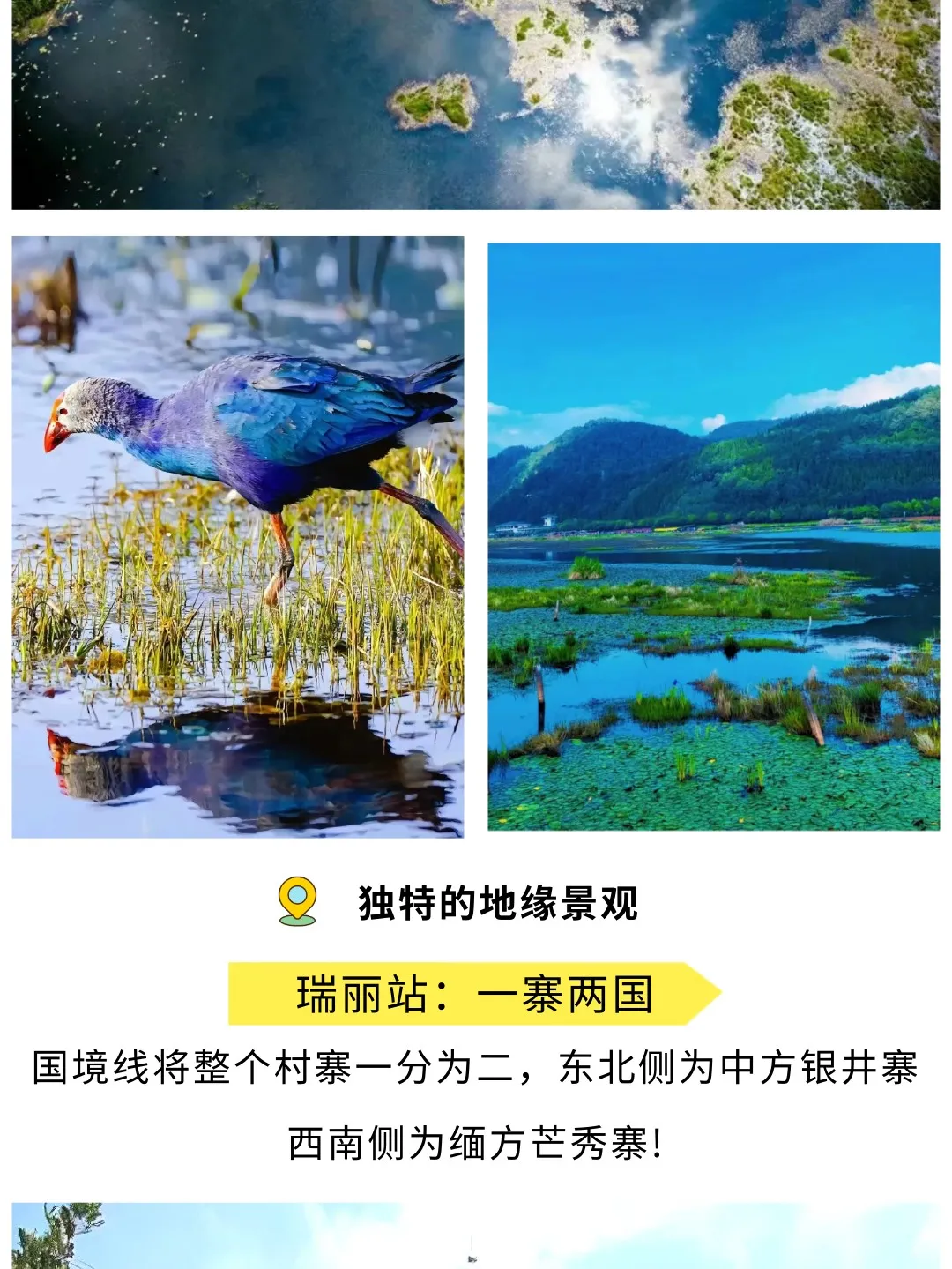 9f57af21c2f9bcec7b4d1c94c610f4e1-sz_346267