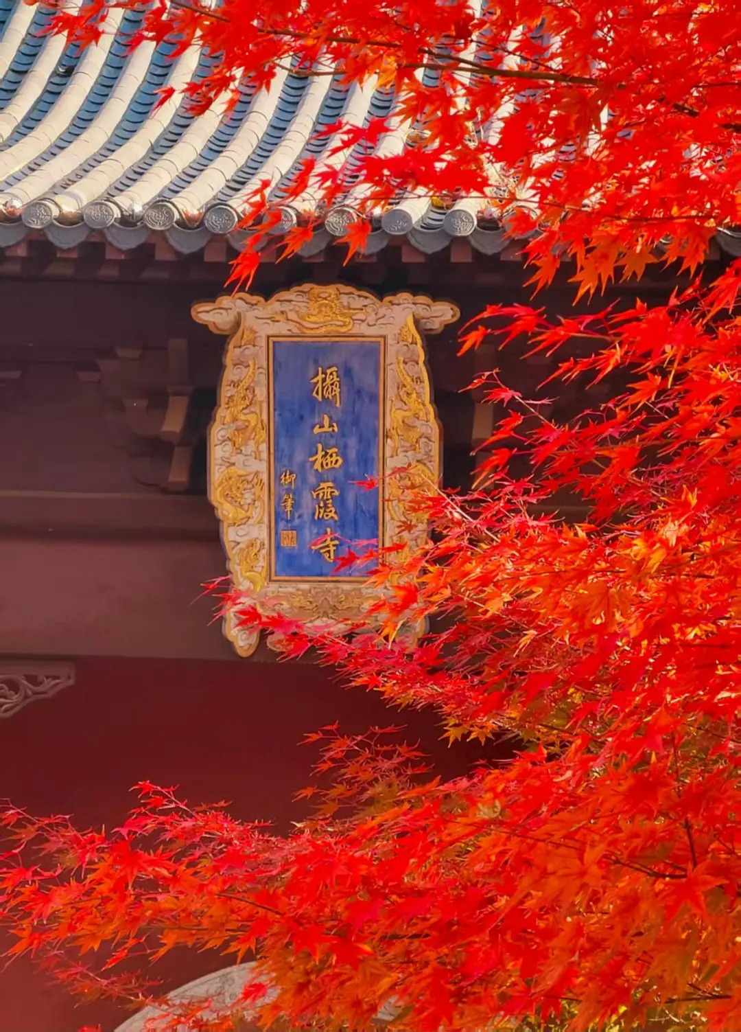 9f6ce2a1e726c6e90230ba7ba60769ca-sz_349023 9f6ce2a1e726c6e90230ba7ba60769ca-sz_349023