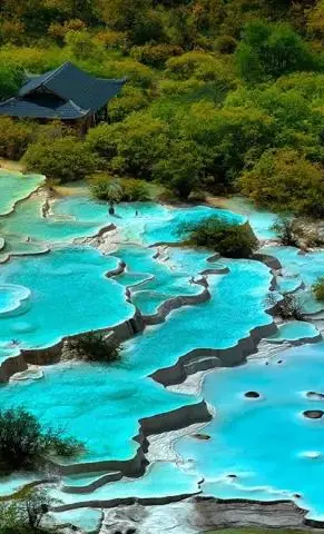 9f7a2eb9c27d918caff5cd3303f58835-sz_77513