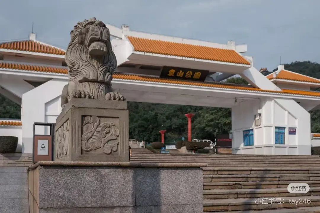 9f8acf831267eba9d1fc41b0ec753dba-sz_173196