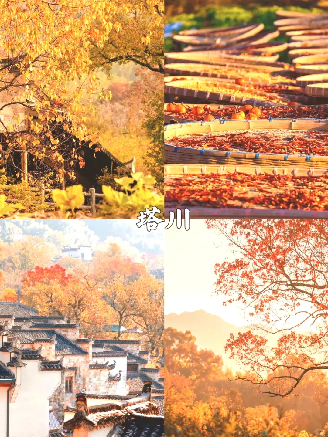 9fa55338ee0a93746c1f298369e6510b-sz_3821722