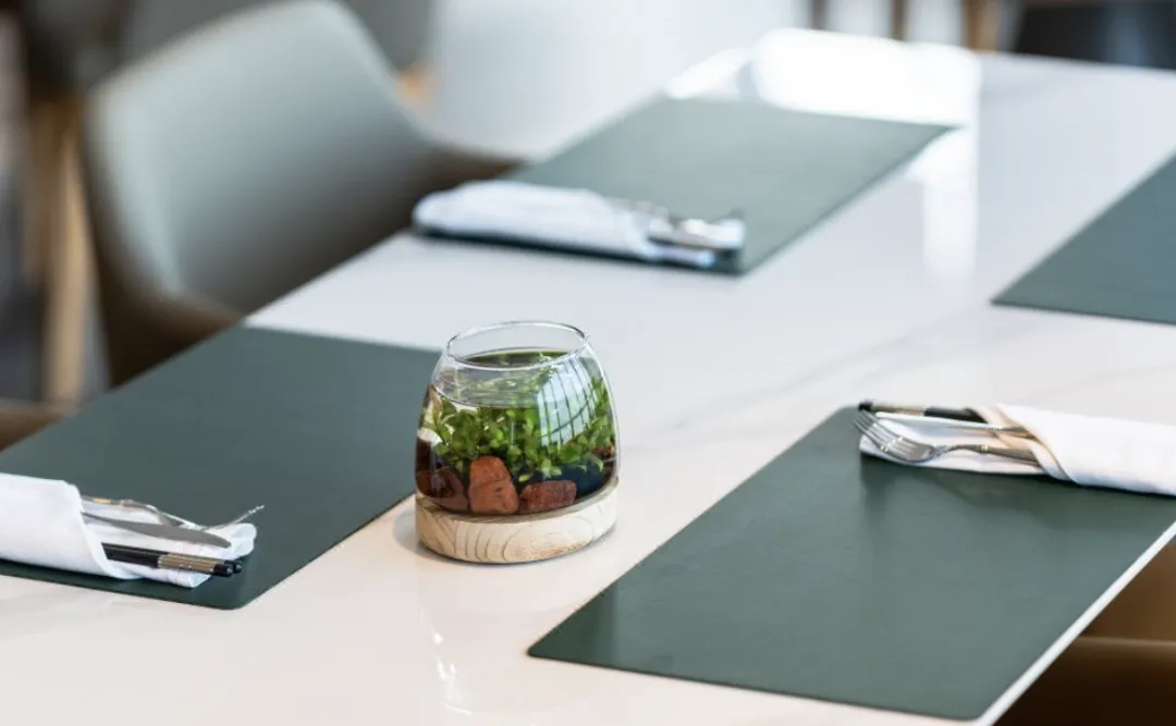 9fd42fbffc7887aae761c4e8a73c5323-sz_918313