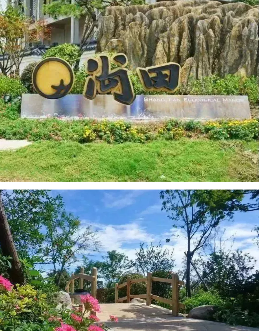 9fe2ff12574ca27364d14665da5fb818