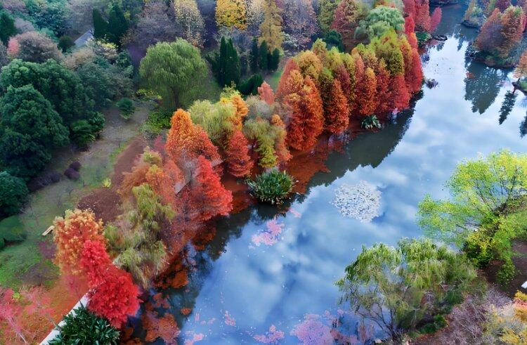 元旦可发！浙1-爆款！临安4日！养生甲鱼煲宴 +农家土鸡煲宴+鱼头煲宴！特价399临安四日游！含3早6正！免费棋牌+唱歌！纯玩度假！