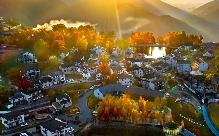 AOXWjxTfpxZN2c5ZFReMUuyG1jIWTIf9