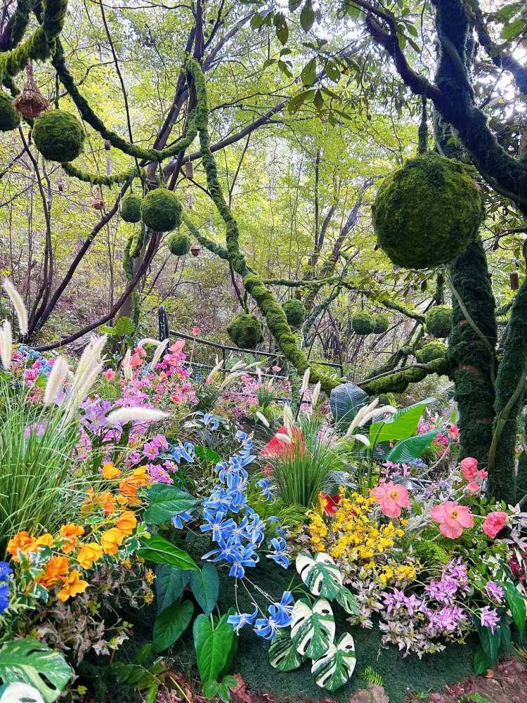 BlNZ2zbh8hRRPkAicK8s9HF2cau7Od-g