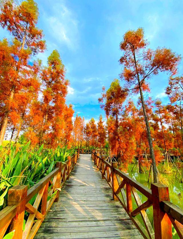 DXjZnVNE_qwk-mjlkQTXtdJeyzRO6vRh.jfif_