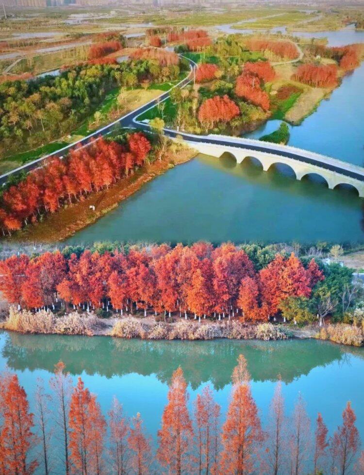 FztlCjKLS6p5Jf2SmMTcJWbdnYli5Yvt