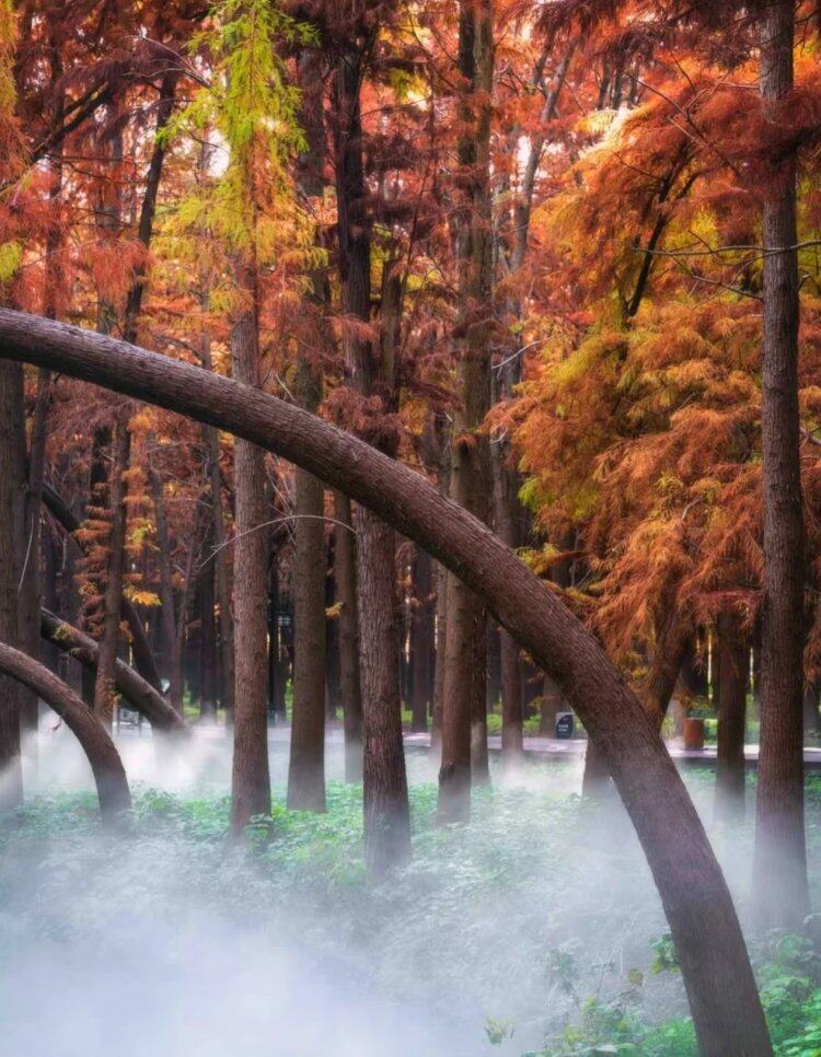 GzrFnmv-UZDMjEYsfbW9odn35UJyiQsZ