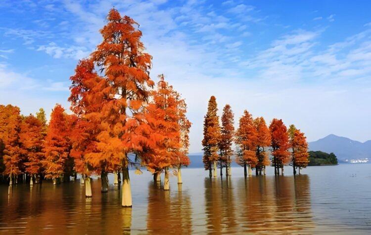 I905h-uUNYpmeqiP5kjzIJDXVVKFvM0U