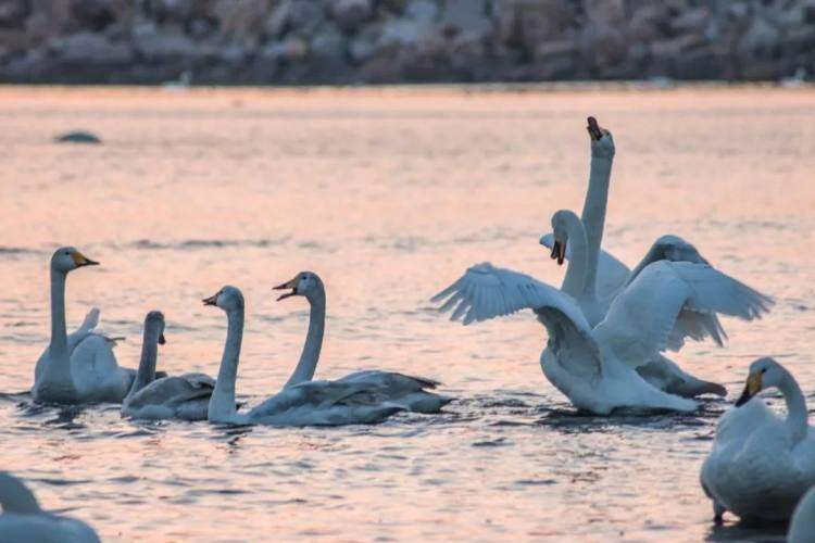 PbEt-E16pAFTXHk9pCHjZYZJh8bsEq7H