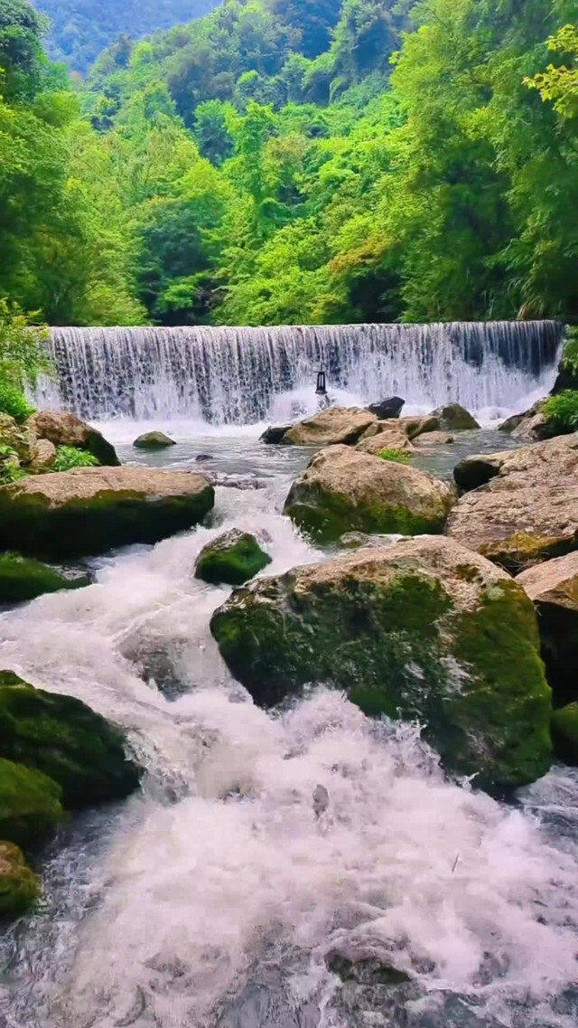 QVCjeUZBRoYej66nAQkEuO1F7AQgMVe3