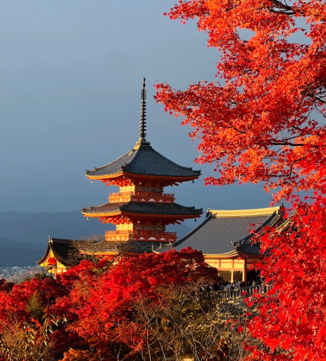 QsFYoQmkjVZTEsPv QsFYoQmkjVZTEsPv