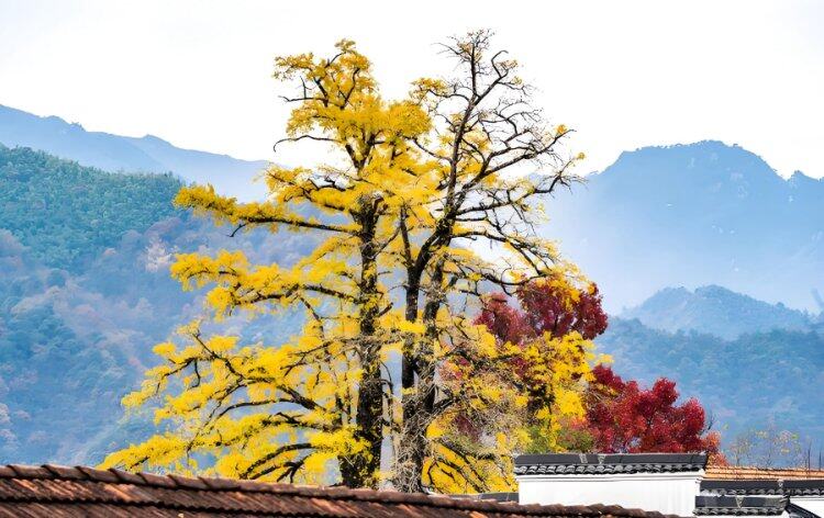 Rr-9DKZ-tZj6uhFIWENnav80c8msYJav