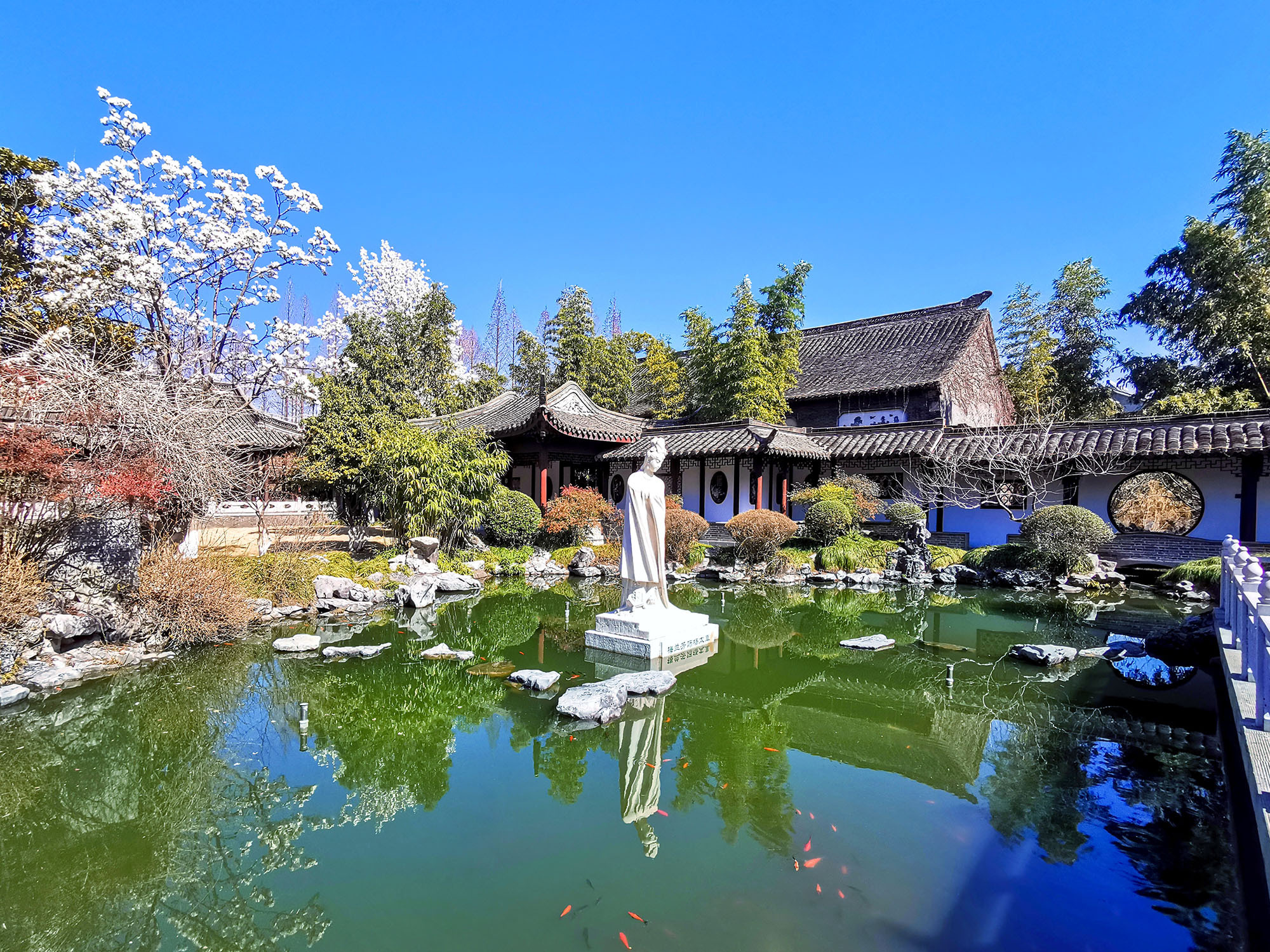 W020220304405641021817-1