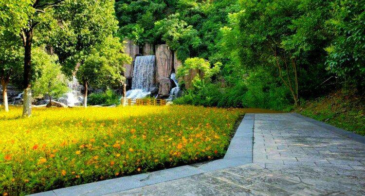 XWl74K__54uwNEnMdLsdIepwyJ63765M