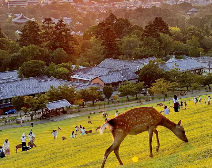 ZSmbKfiPTvWOnnhx ZSmbKfiPTvWOnnhx