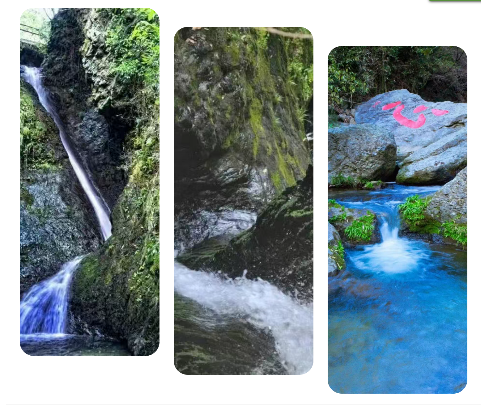 a01f097ce5fcc324e254a857c4bbca52