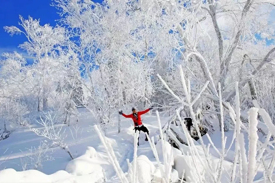 a060bf79fb14180546772cf46a77a034-sz_582796-1