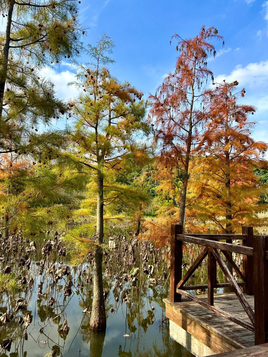 a067196b38c58a3180714d5965ba3b43-sz_3489624