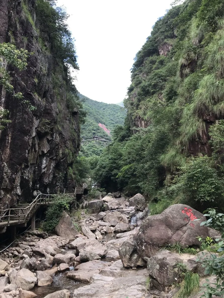 a07a4e0c7ae04d0dc34a71a4851275bd-sz_304745-1