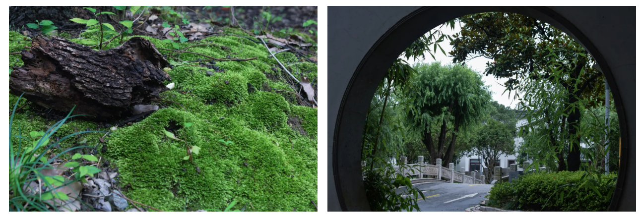 a0d2eef16bd86b5e730f1d468dbb790f