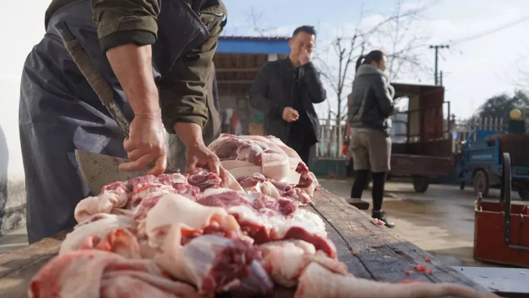 a0fff19a4674a07f5cc4e36335a2294b-sz_82658