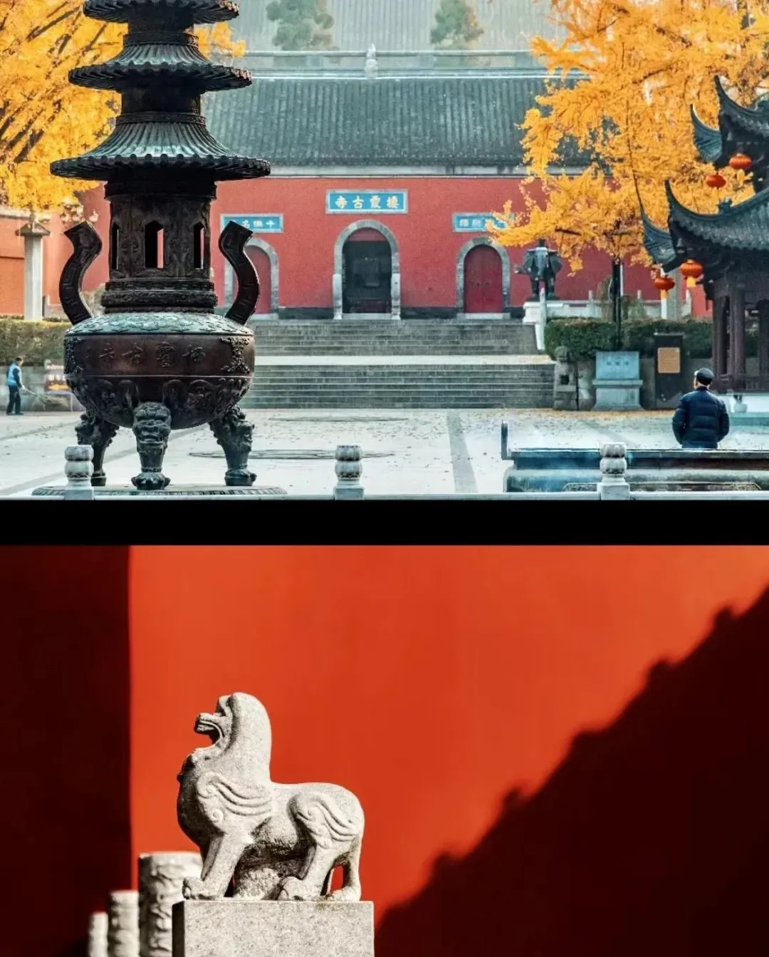 a10650bbf76a269fb67eea073238a2f1-sz_202356