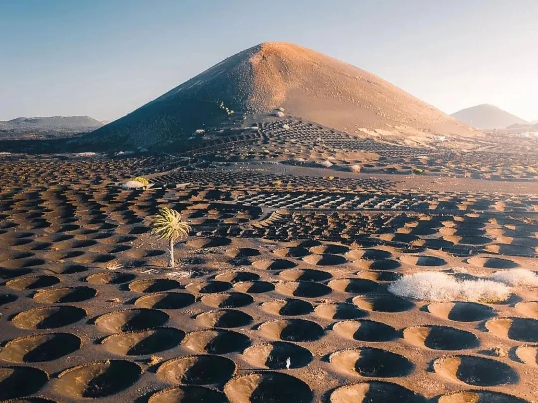 a119d53f0bc1b47fd31e79a2c363995b-sz_394163