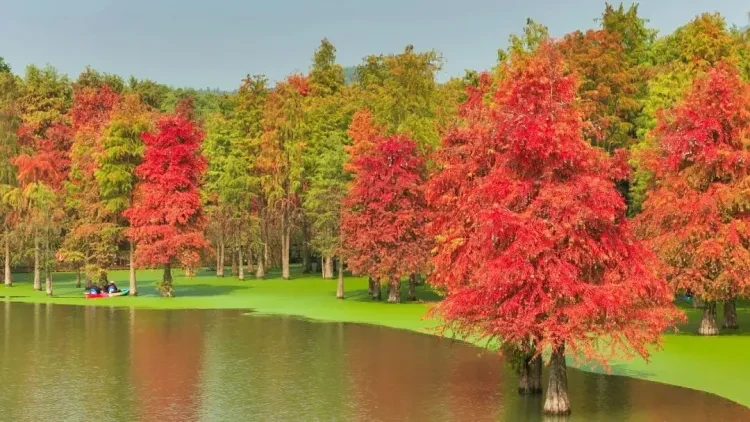 a13f6679186c9c6fa7ca19f4071a9b04-sz_167880