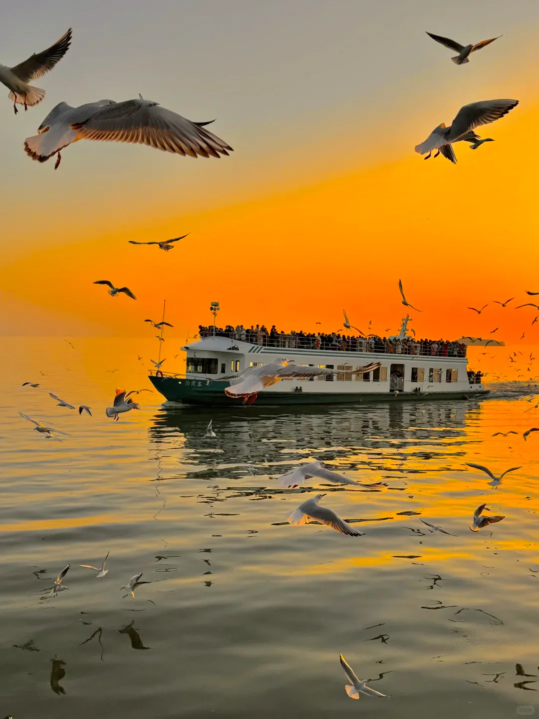 a196760e8e0659595cdf31e66d8863a6-sz_1628032-1