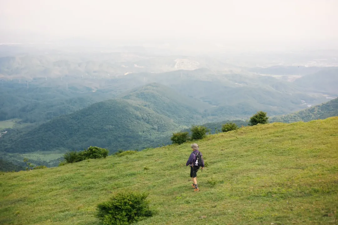 a1a6c93946dfd9d8bc24b81e60b1cfb8-sz_1998333