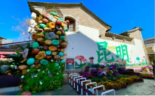 0购物0自费•连住5晚携程4钻酒店•【阳光之城•康养圣地-攀枝花】康养之旅双飞6日-精选米易溶洞、元谋地质奇观、迤沙拉古彝村、华坪秘境等，享受宁静与探索的乐趣