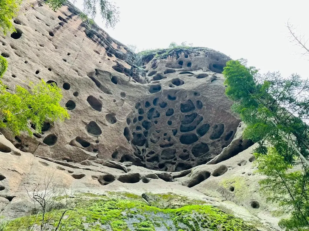 a1c915a73042e8cbb9f2b5ddf98c9804-sz_232184