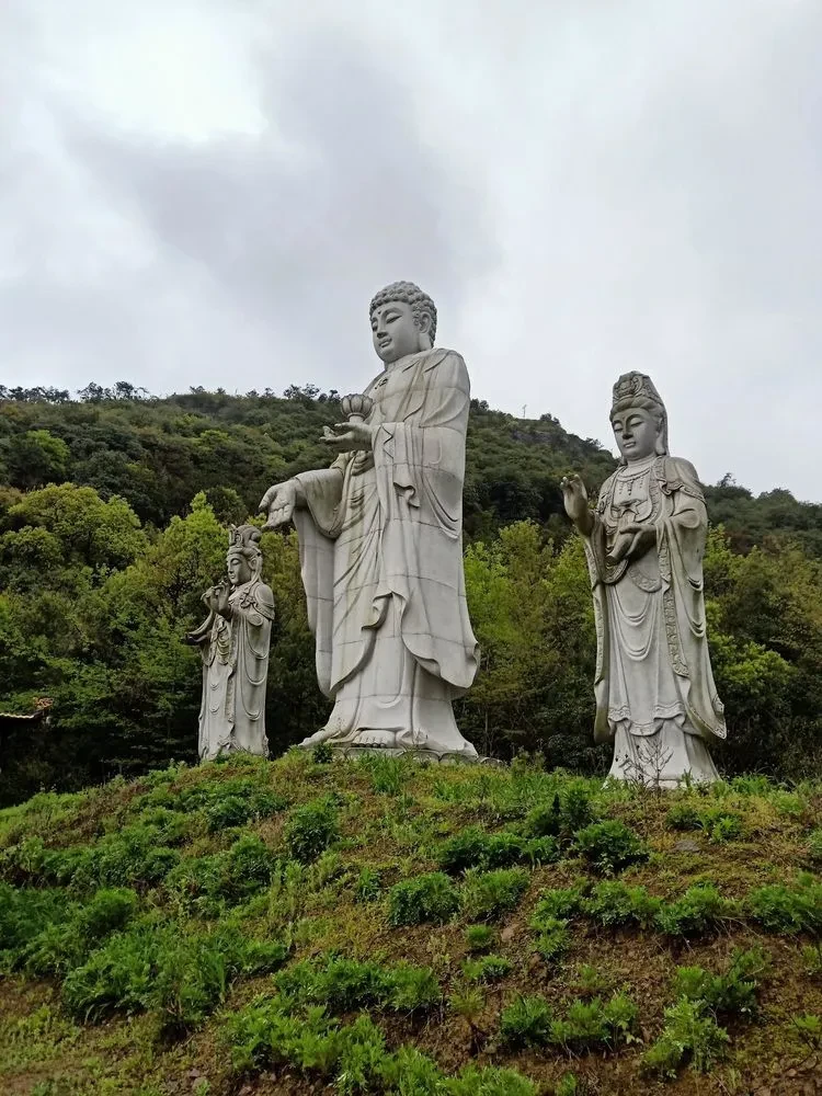 a1f835e4d6fdf9b936657fc0869f3c1d-sz_164274 a1f835e4d6fdf9b936657fc0869f3c1d-sz_164274