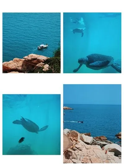 a20738b3be7890f5e7eba983d8623b50-sz_36511