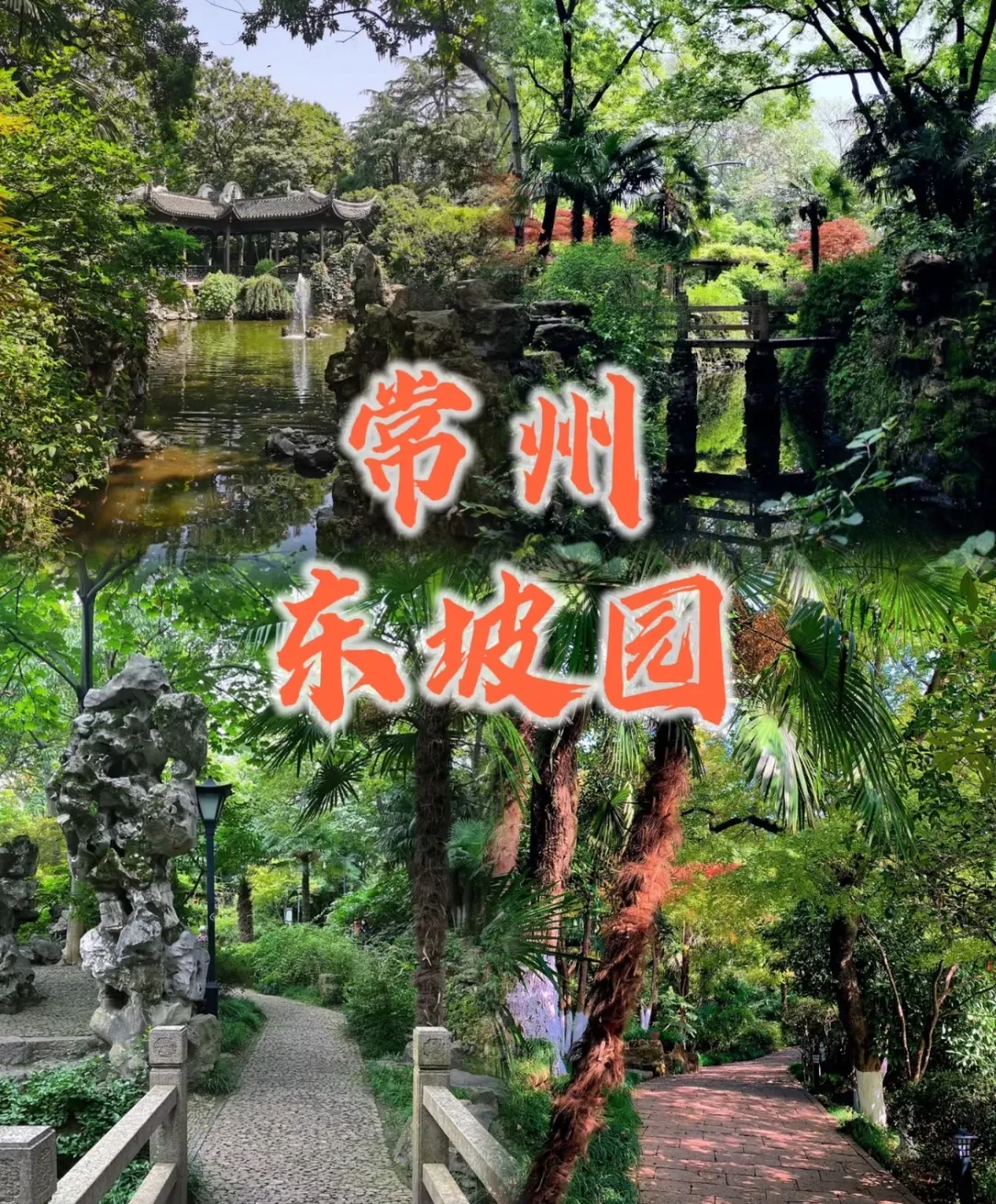 a20da67167e3ab7cea9fa84b2dd13df4-sz_828708