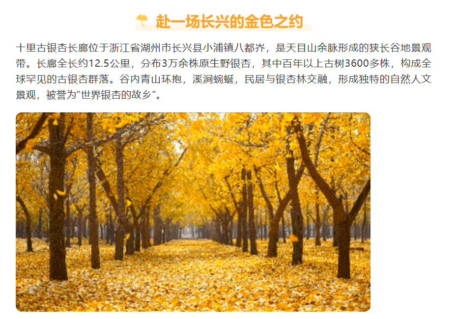 a21d59be0504c098b7d8401557d4d7a9