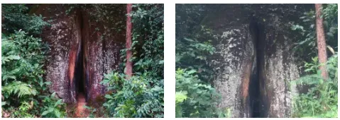 a2311e27d17cfcdde0d348a8c7c82e0d-sz_201341