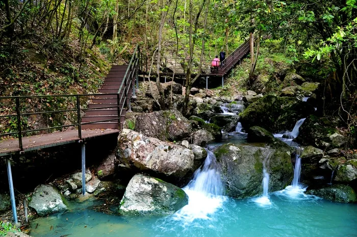 a240ebf346878e4207bc6d658926dc77-sz_424476