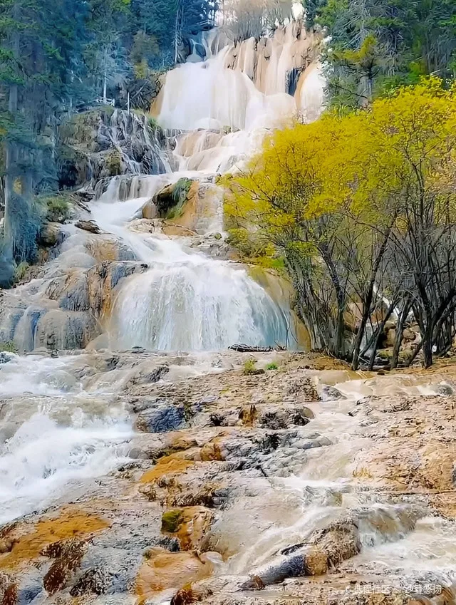 a26b920678841acc3e11402b46bfb9e8-sz_271773